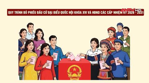 Quy trình bỏ phiếu bầu cử đại biểu Quốc hội khóa XVI và đại biểu HĐND các cấp 