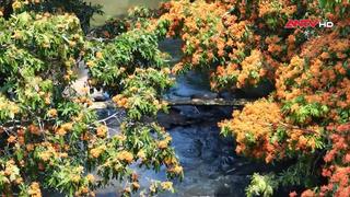 Đảm bảo môi trường du lịch an toàn, thân thiện 