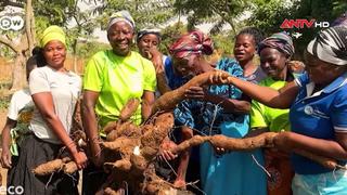 Năng lượng xanh trên vùng đất khát