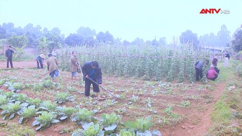 Bảo vệ những người yếu thế trong xã hội