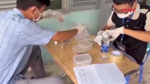 Vụ ngộ độc sau khi ăn bánh mì ở Đồng Tháp nghi do vi khuẩn salmonella