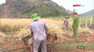 Hiệu quả công tác cai nghiện ma túy tại Sơn La