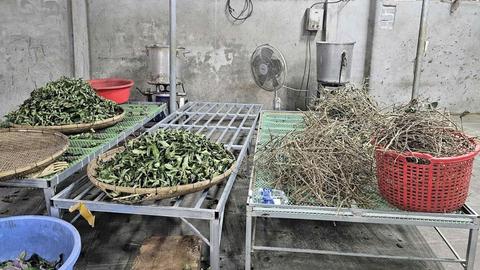 Quảng cáo thuốc gia truyền giả lừa đảo hơn 227 tỷ đồng