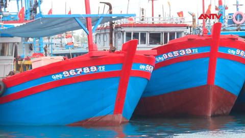 Kinh tế tiêu dùng ngày 19/3/2026