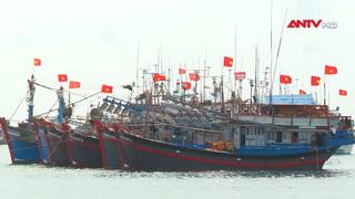 Chung tay gỡ “thẻ vàng" IUU – vì nghề cá bền vững