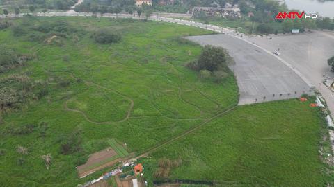 Khi lá phổi xanh không thể tự thở