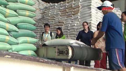  Kịp thời xuất cấp gạo hỗ trợ người dân mùa giáp hạt năm 2026