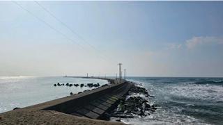 Đại sứ quán Việt Nam tại Nhật Bản phối hợp tìm kiếm cứu nạn công dân mất tích trên biển