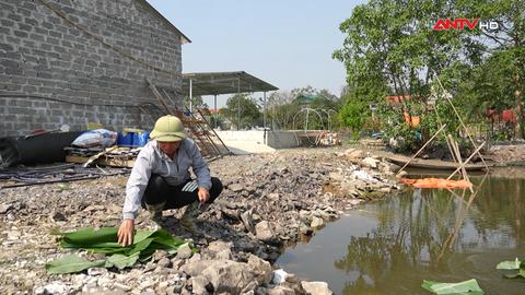 Sau ngày trở về