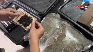 Quyết liệt đẩy lùi ma túy, nỗ lực từ cơ sở 