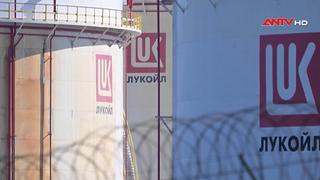 Nga cấm xuất khẩu xăng từ ngày 1/4