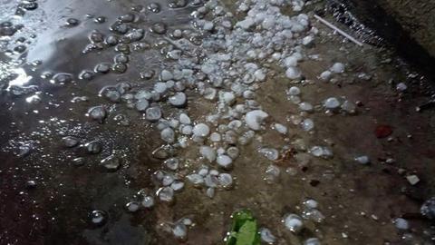 Dông mạnh kèm mưa đá nhiều nơi ở miền Bắc