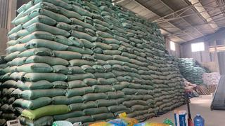 Tin tức an ninh trật tự nổi bật 24h qua 