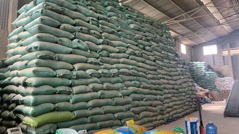 Tin tức an ninh trật tự nổi bật 24h qua 