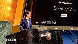 Việt Nam cam kết hành động vì bình đẳng giới 