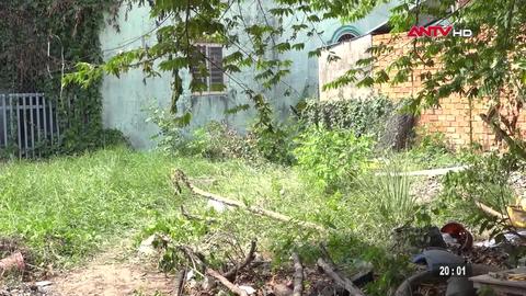 Tin nhanh lúc 20h ngày 02/4/2026