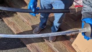  Mỹ bắt giữ đối tượng đe dọa ám sát Tổng thống Donald Trump 