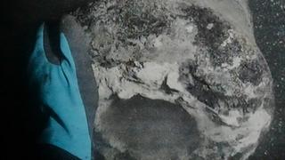 Khai quật soái hạm Dannebroge sau 225 năm