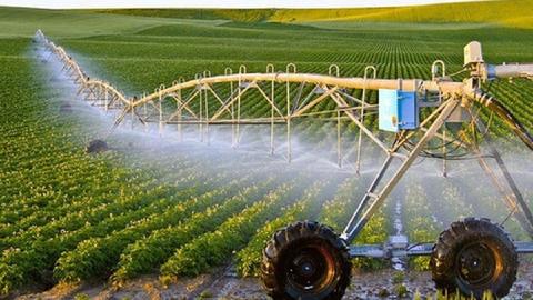 Kinh tế tiêu dùng ngày 03/4/2026