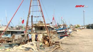 Kiểm soát tàu cá ngăn chặn khai thác IUU