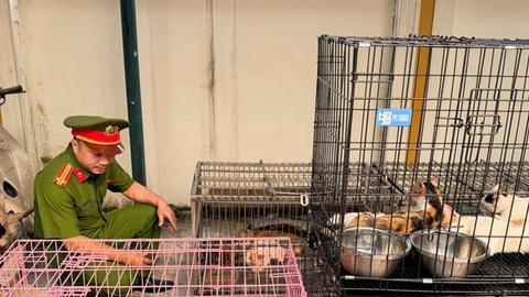 An ninh ngày mới 05/4/2026