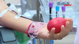 Máu hồng – kết nối và sẻ chia