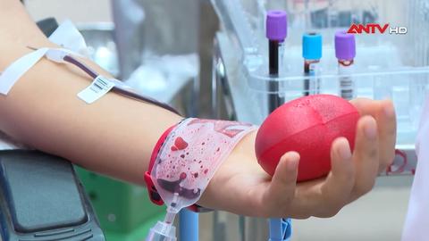 Máu hồng – kết nối và sẻ chia