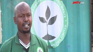 Chuyển hóa thực phẩm thải thành dầu và nhiên liệu