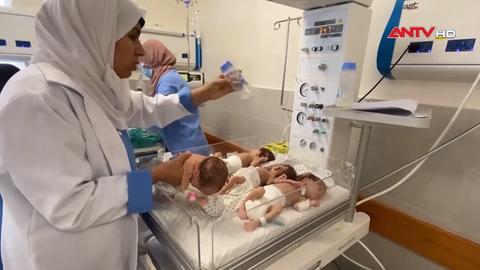 Hành trình trở về của những em bé từ lằn ranh sinh tử