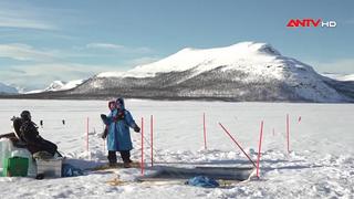 Lặn dưới băng để khám phá vùng cực tại Phần Lan