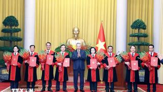 Tổng Bí thư, Chủ tịch nước Tô Lâm trao bổ nhiệm Thẩm phán, Phó chánh án Tòa án nhân dân tối cao