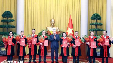Tổng Bí thư, Chủ tịch nước Tô Lâm trao bổ nhiệm Thẩm phán, Phó chánh án Tòa án nhân dân tối cao