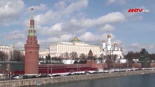 Nga tuyên bố ngừng bắn với Ukraine