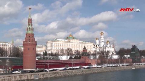 Nga tuyên bố ngừng bắn với Ukraine