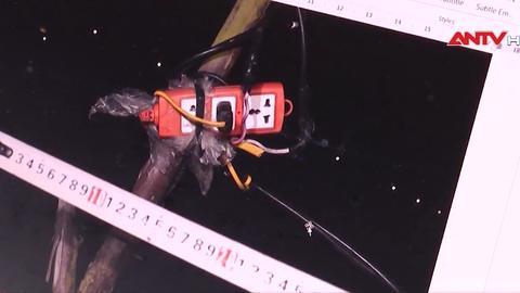 Cảnh báo nguy hiểm chết người việc dùng điện bẫy chuột