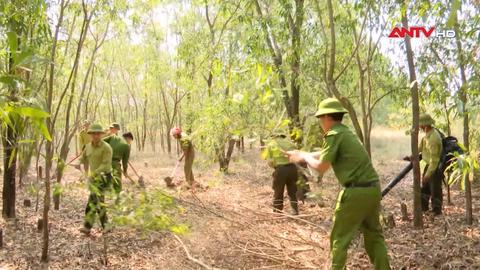 Cao điểm phòng chống cháy rừng trên địa bàn Quảng Trị