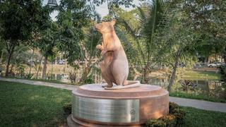 Campuchia tạc tượng vinh danh chuột Magawa