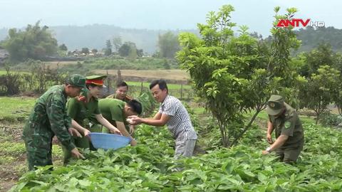 113 Online ngày 13/4/2026