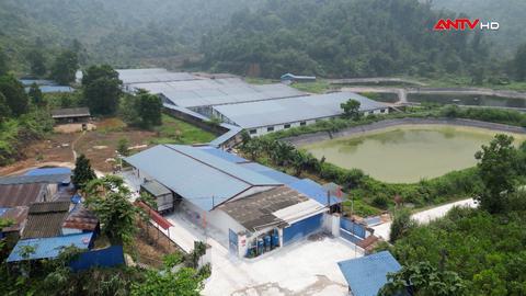 Thực trạng và giải pháp trong xử lý chất thải chăn nuôi