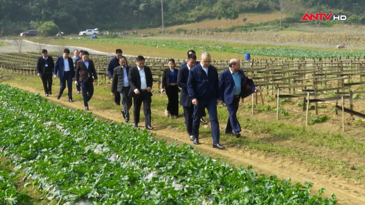 Xanh những bản làng