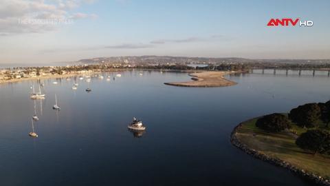 Giải mã ADN hỗ trợ bảo tồn hệ sinh thái