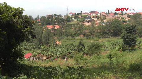 Rwanda bảo vệ đất nông nghiệp