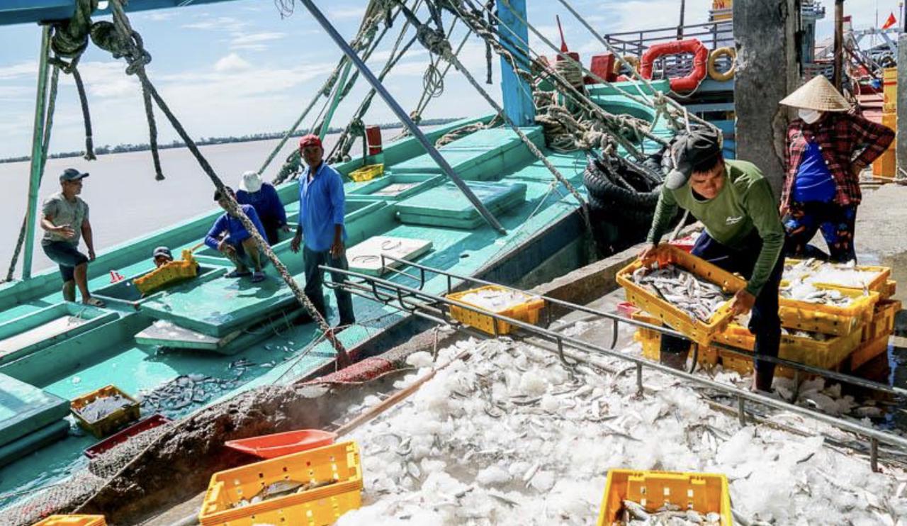 Hiệp đồng ngăn chặn khai thác thủy hải sản trái phép