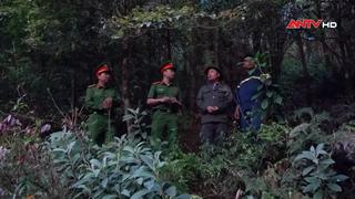 Vườn quốc gia Hoàng Liên chủ động phòng cháy, chữa cháy 