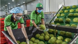 Thêm visa cho nông sản Việt