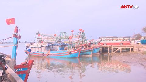 Ngư dân thích ứng trước "cơn sóng" giá nhiên liệu