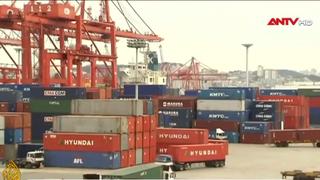 IMF cảnh báo cú sốc năng lượng đe dọa tăng trưởng châu Á