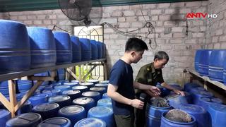 Đột kích xưởng sản xuất giá đỗ bằng chất cấm tại Quảng Ninh