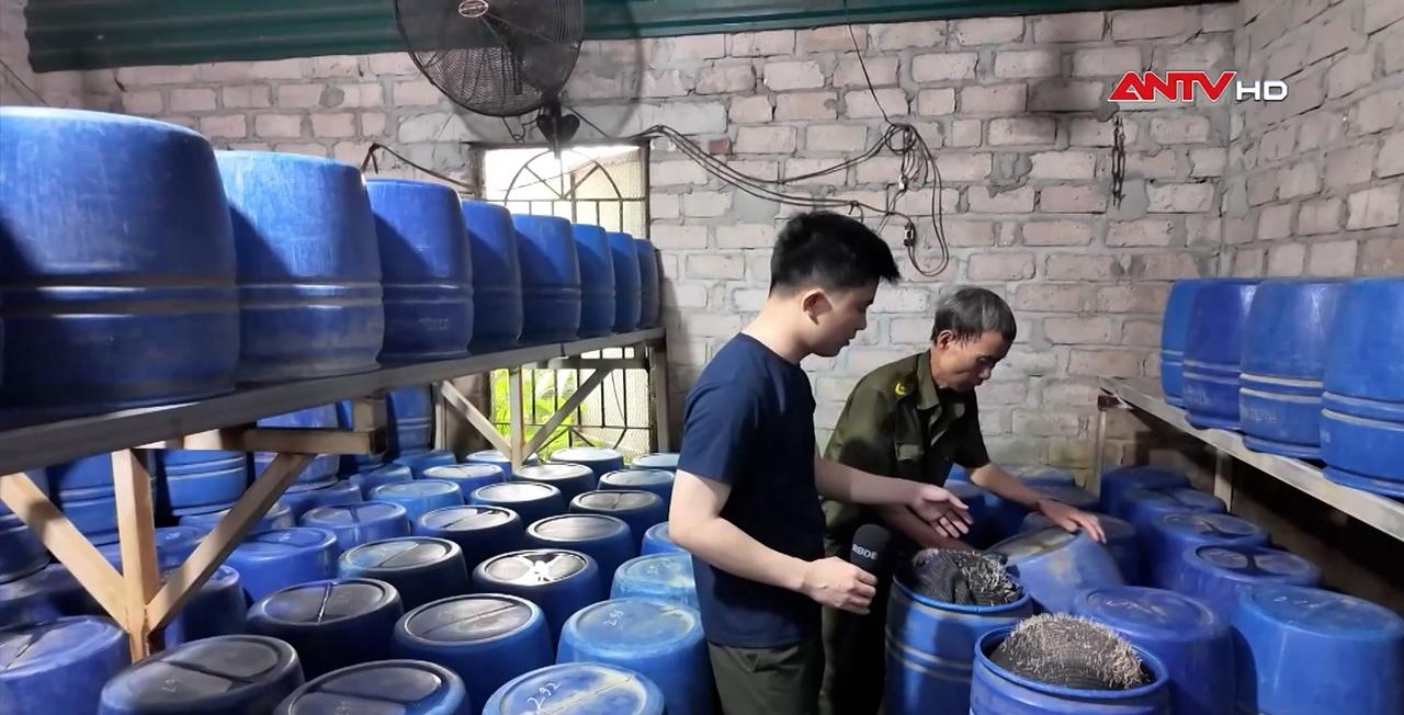 Đột kích xưởng sản xuất giá đỗ bằng chất cấm tại Quảng Ninh