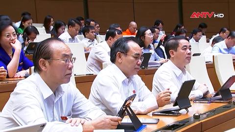 Thí điểm luật sư công: Tối ưu hóa nguồn nhân lực chất lượng cao